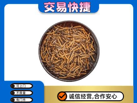 昭通市镇雄高价回收散虫草